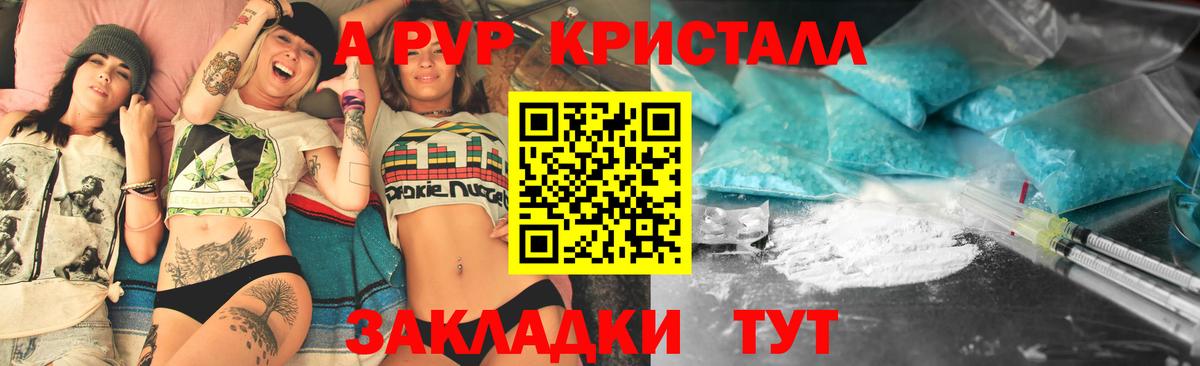 Альфа ПВП СК КРИС Архангельск