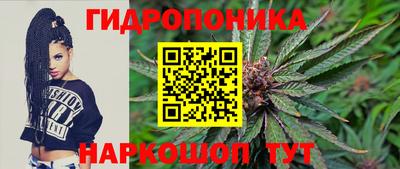 шишки Аргун