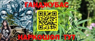 шишки Аргун