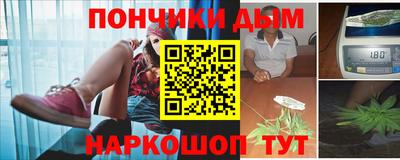 шишки Аргун