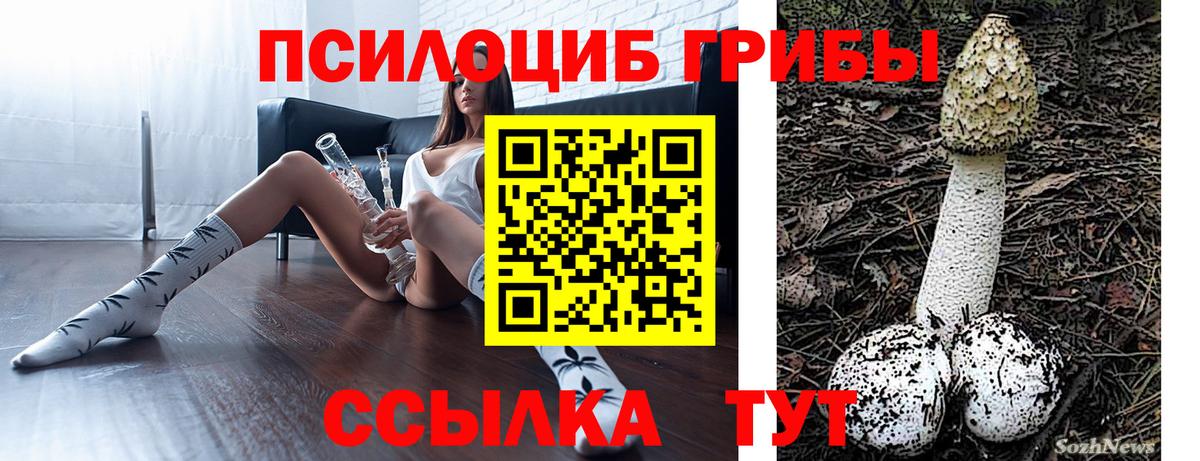 Псилоцибиновые грибы Magic Shrooms  Вход с VPN  Архангельск  Псилоцибиновые грибы мухоморы 